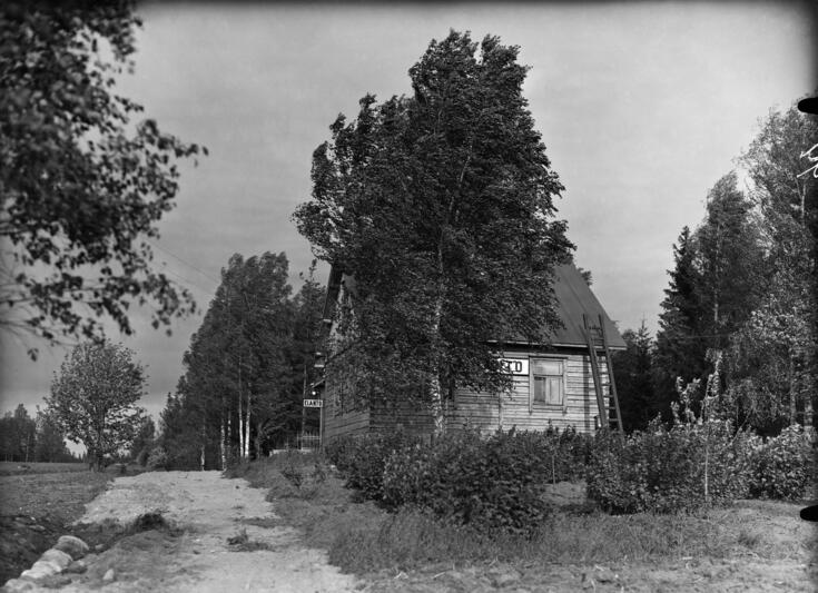 Vasemmalla on kapea hiekkatie, oikealla puolitoistakerroksinen puurakennus, jonka ympärillä on koivuja. Rakennuksen seinässä lukee ELANTO.