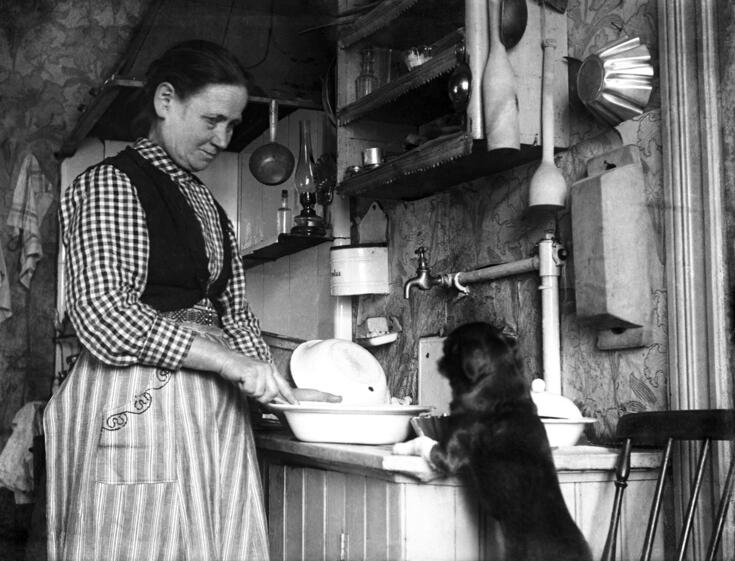 Vasemmalla nainen tiskaa, oikealla koira seisoo etukäpälät tiskipöydällä.