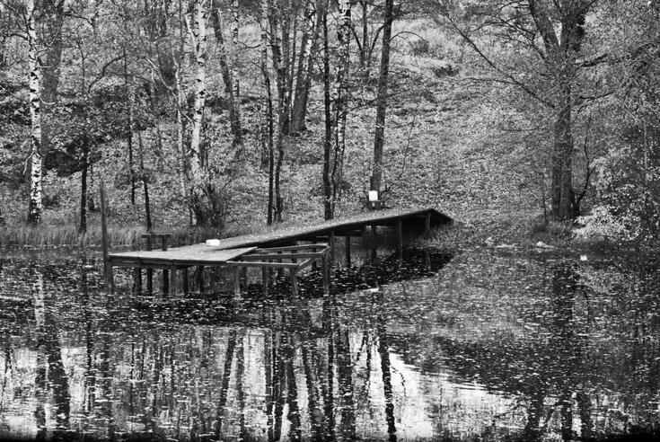 Puulaituri metsälammella