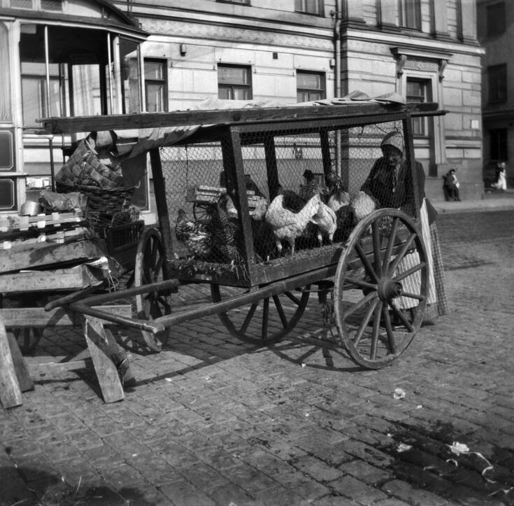 Hönor i en bur som dras av häst på salutorget. 