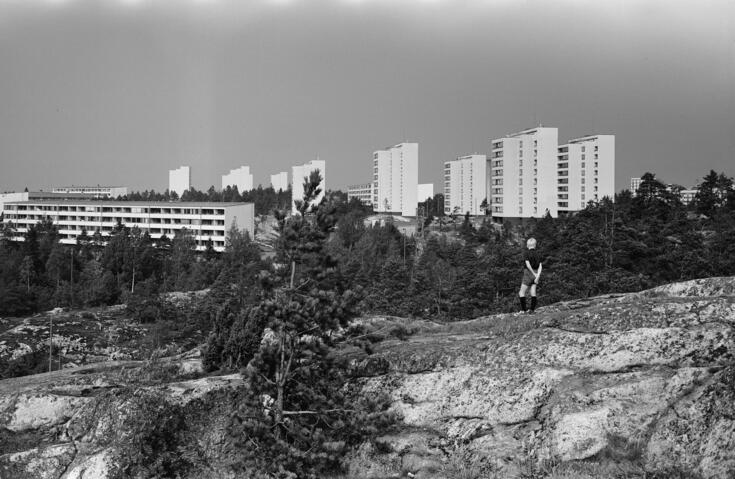 En pojke står på en klippa och tittar på höga våningshus som reser sig bakom skogen i Rönnbacka.