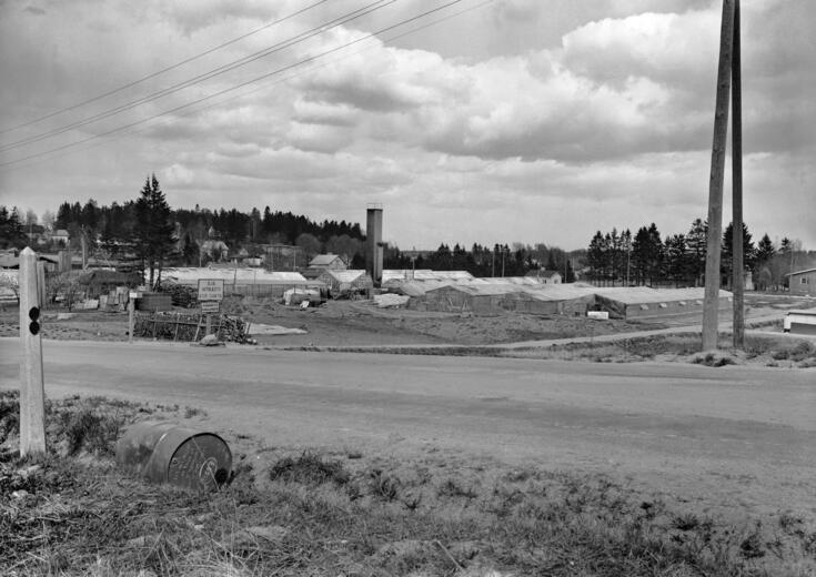 pitkiä kasvihuoneita, etualalla rakennustarvikkeita ja Esson öljytynnyri.