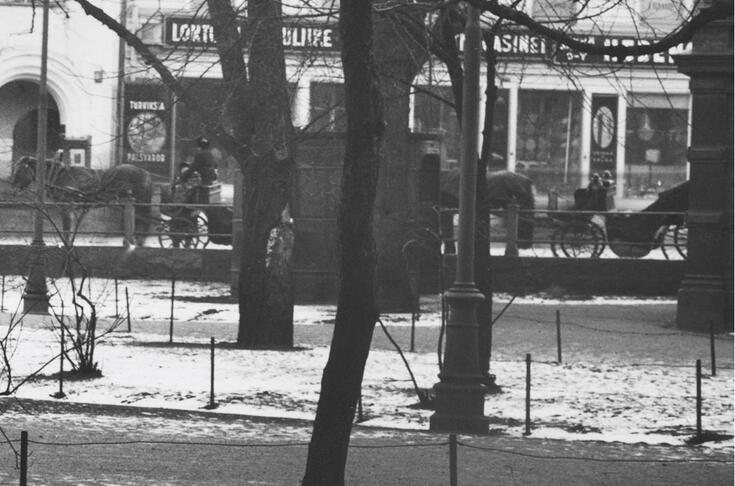 I förgrunden syns träd, och bakom dem en pissoar i gjutjärn. I bakgrunden ser man körkarlar med hästar samt affärsfastigheter.