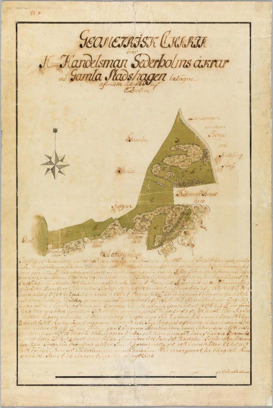 Sederholmin pellot