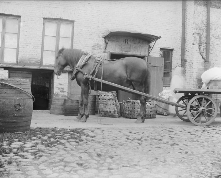 Ekbergin leipomon ja konditorian sisäpiha, hevonen ja kuormarattaat