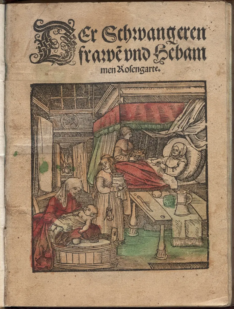 Ett barns födelse 1529