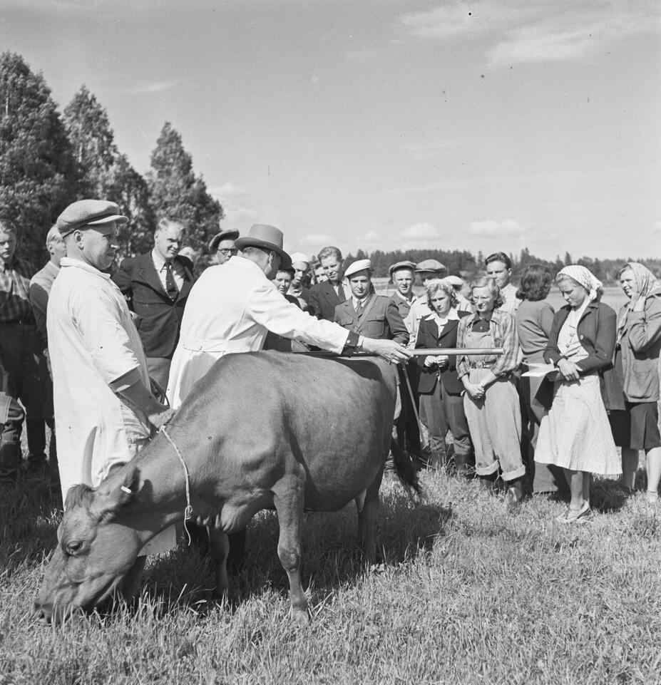Sonnia mitataan Malminkartanossa 1951