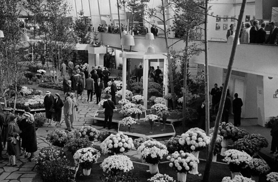 Puutarhanäyttelyn avajaiset 1959