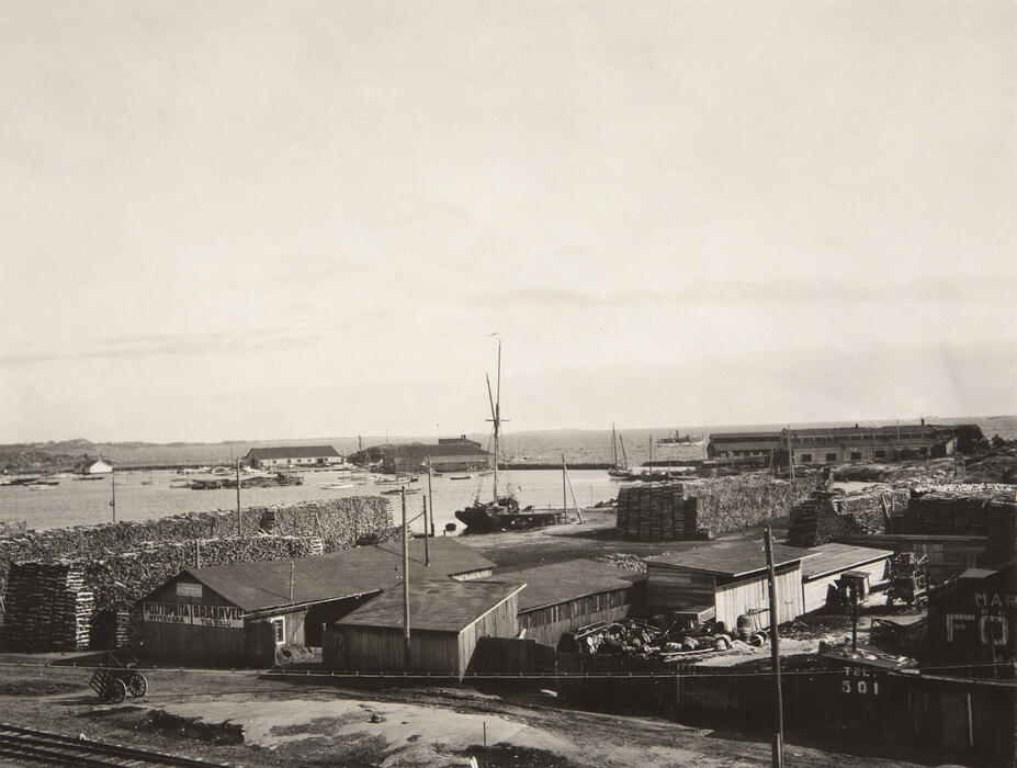 Havshamnen på 1920-talet
