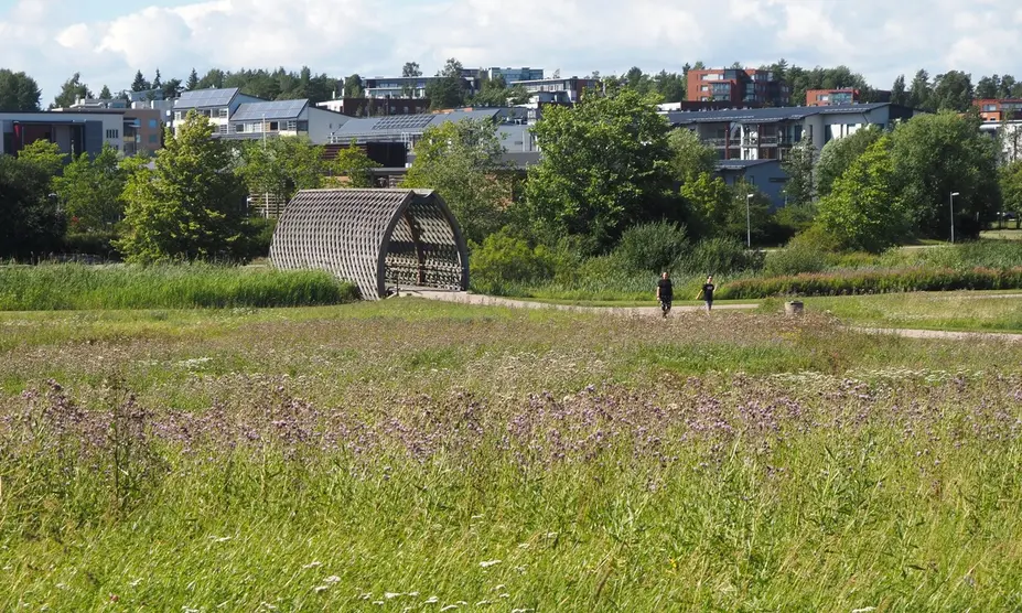 Niittysilta Viikinojanpuistossa