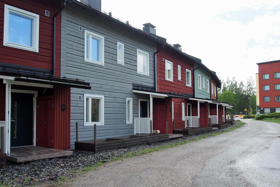 Honkasuon puutaloja
