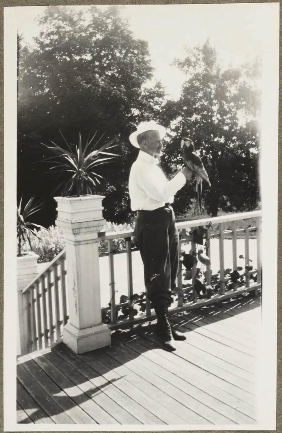 Leonard Wasenius papukaija kädellään