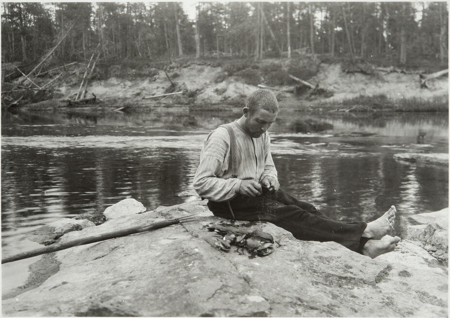 Öppnande av musslor