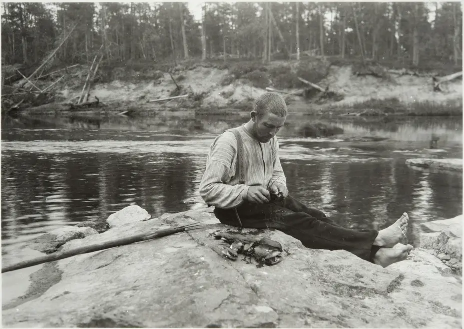 Raakkuja avataan
