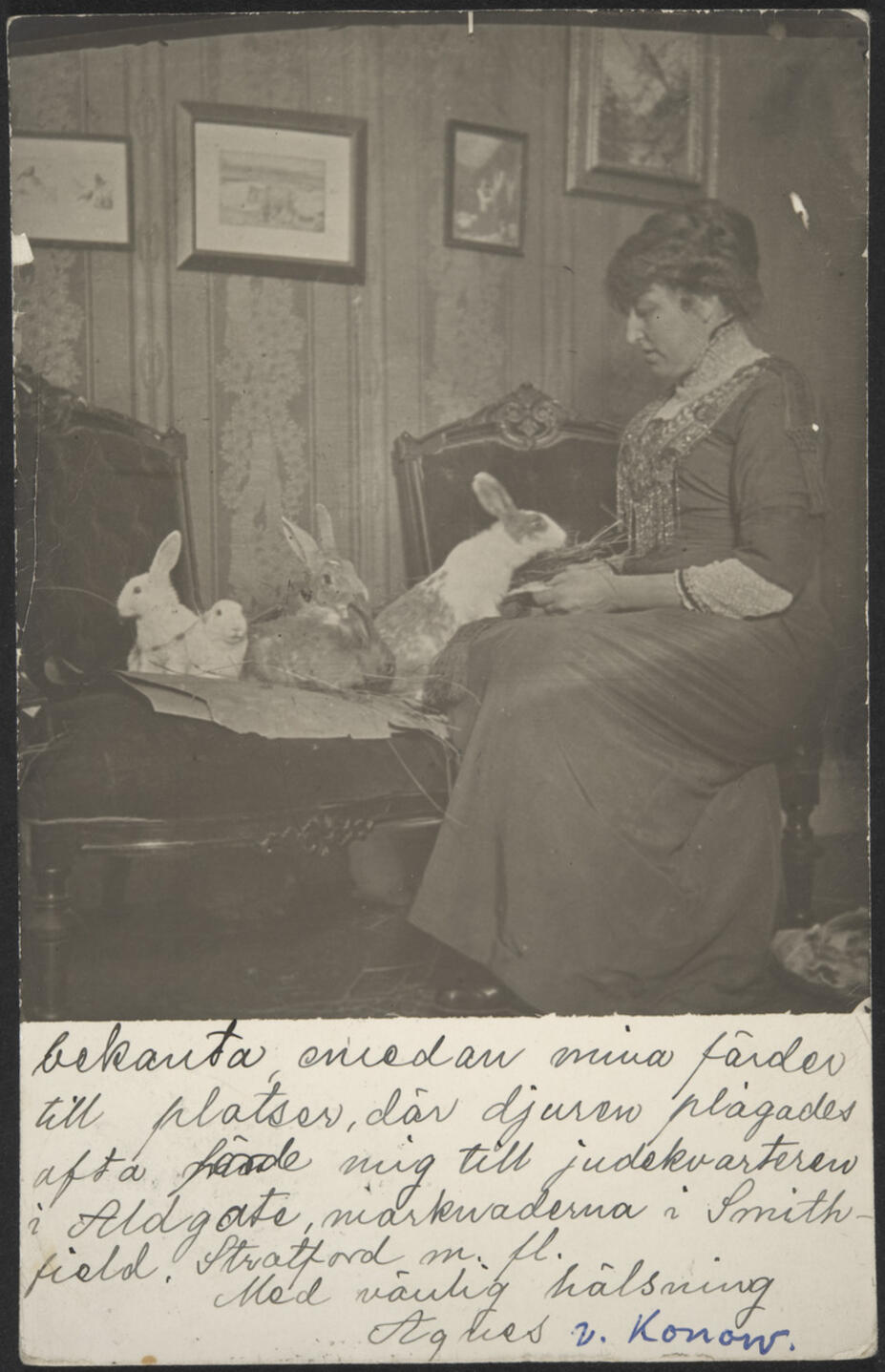 Kansakoulunopettaja, eläinsuojelija Agnes von Konow