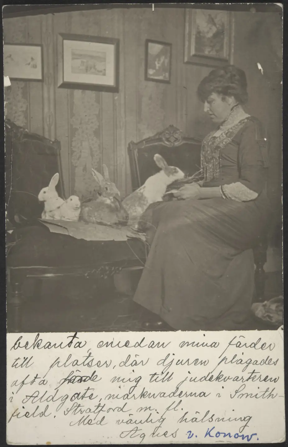 Kansakoulunopettaja, eläinsuojelija Agnes von Konow