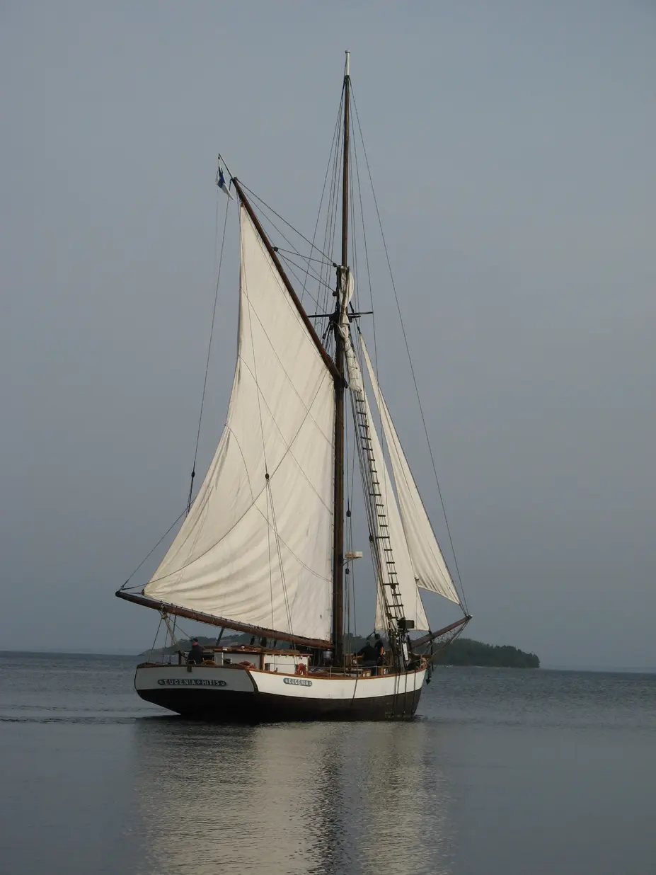 Eugenia-jahti