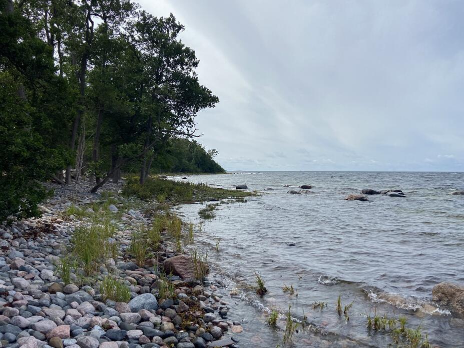 Isosaaren eli Mjölön rantaa