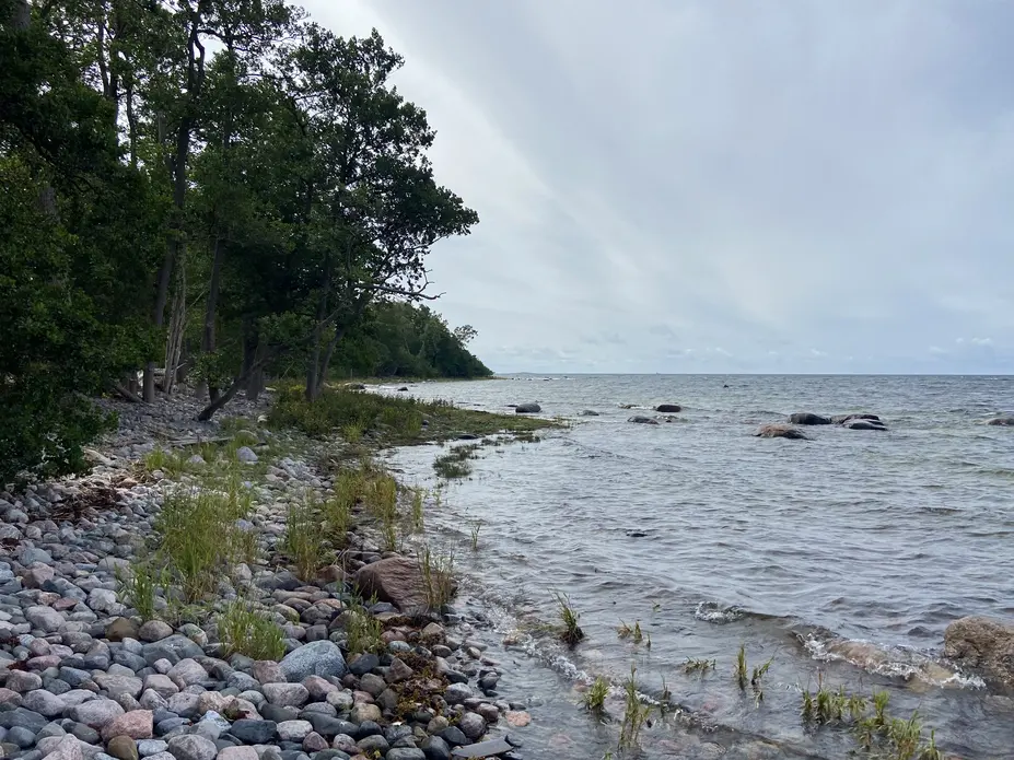 Isosaaren eli Mjölön rantaa