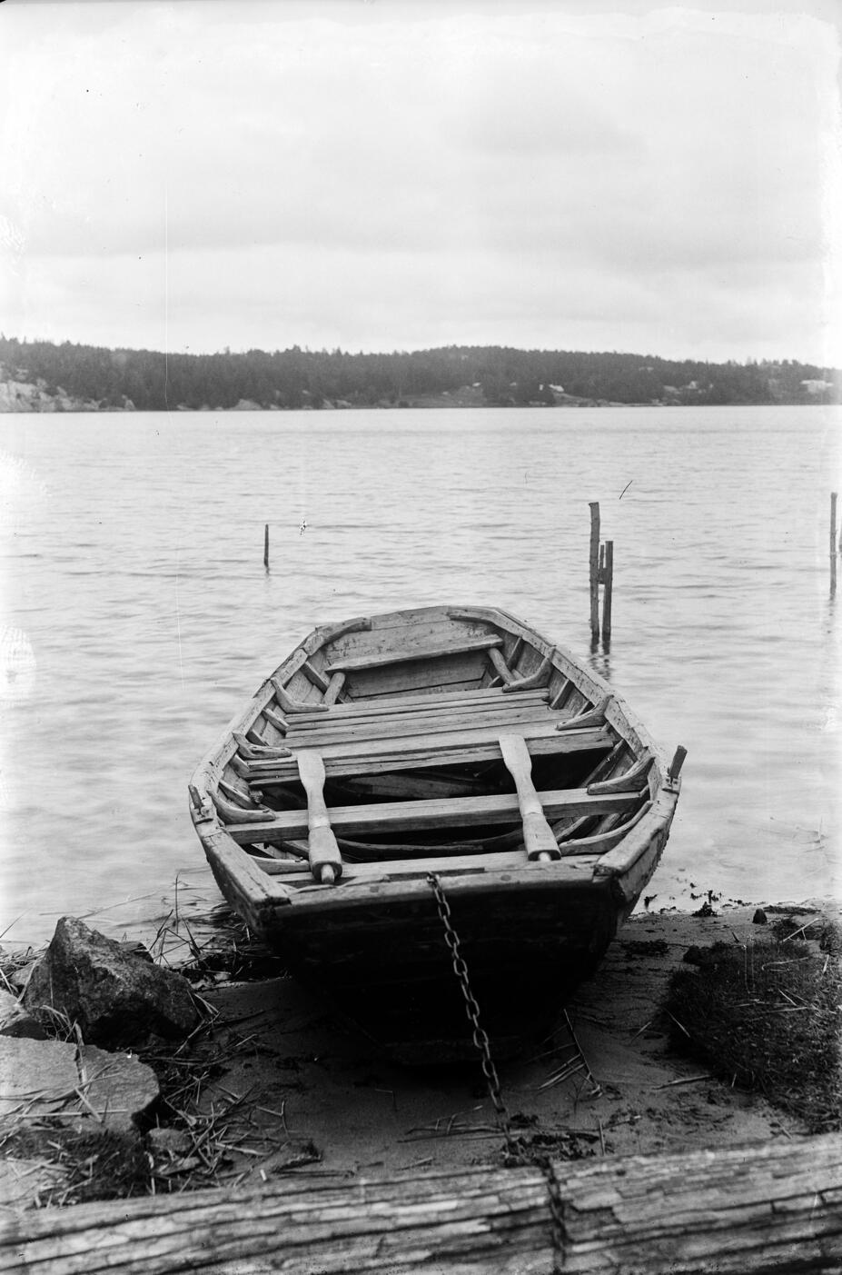 Nuottavene