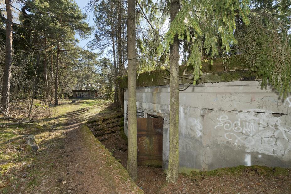 Skatanniemen tykkipatteri