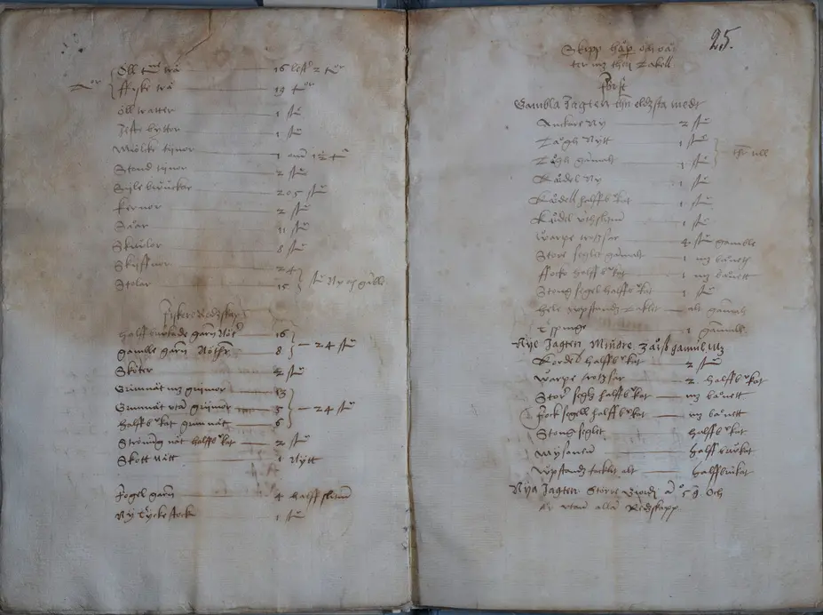 Laivoja vuoden 1560 voudintileissä