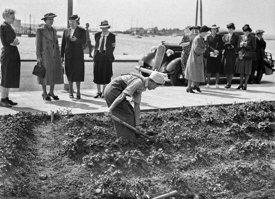 Rouva Ryti vierailee Kumpulan siirtolapuutarhalla