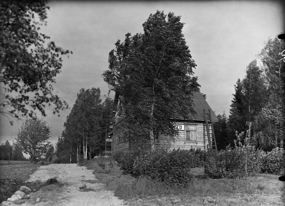 Elannon sekatavaramyymälä nro 78