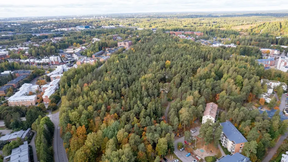 Yleiskuva Kartanonmetsän alueesta