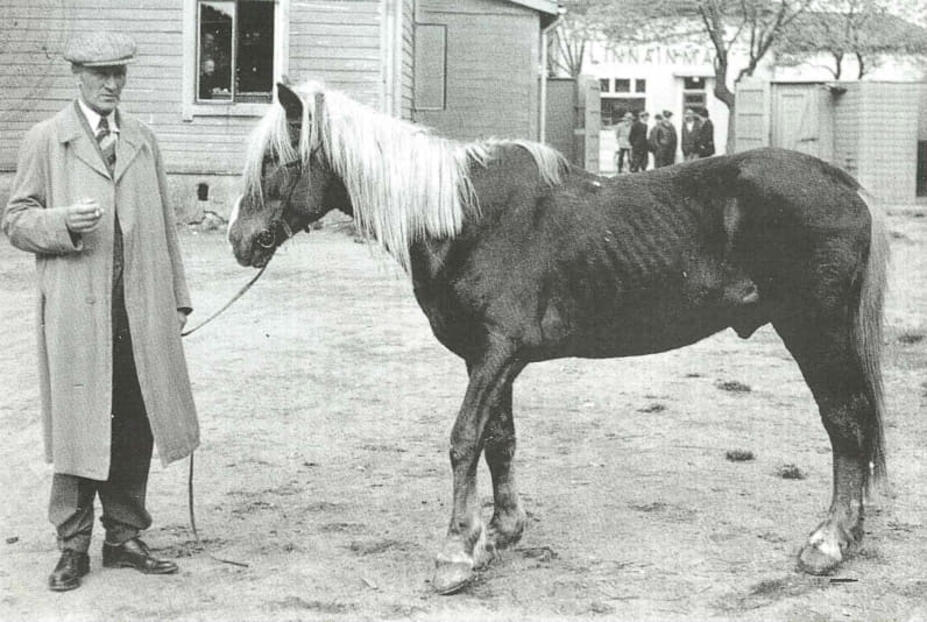 Eläinsuojelupoliisi