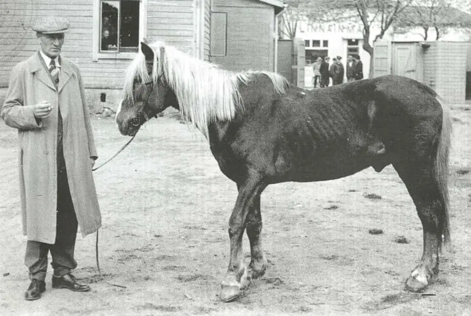 En djurskyddspolis