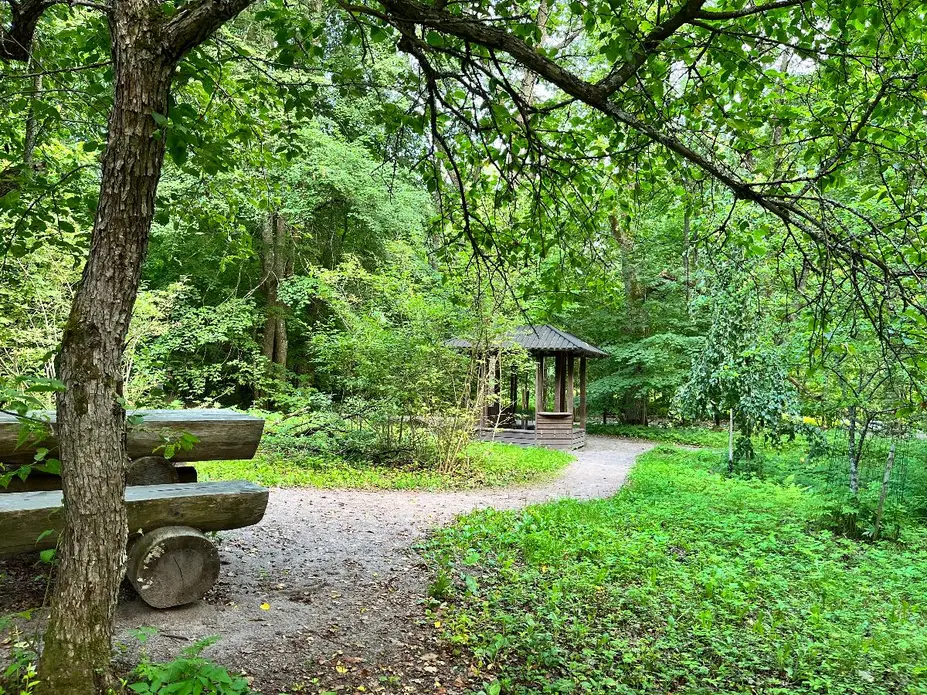 Niskalan arboretum