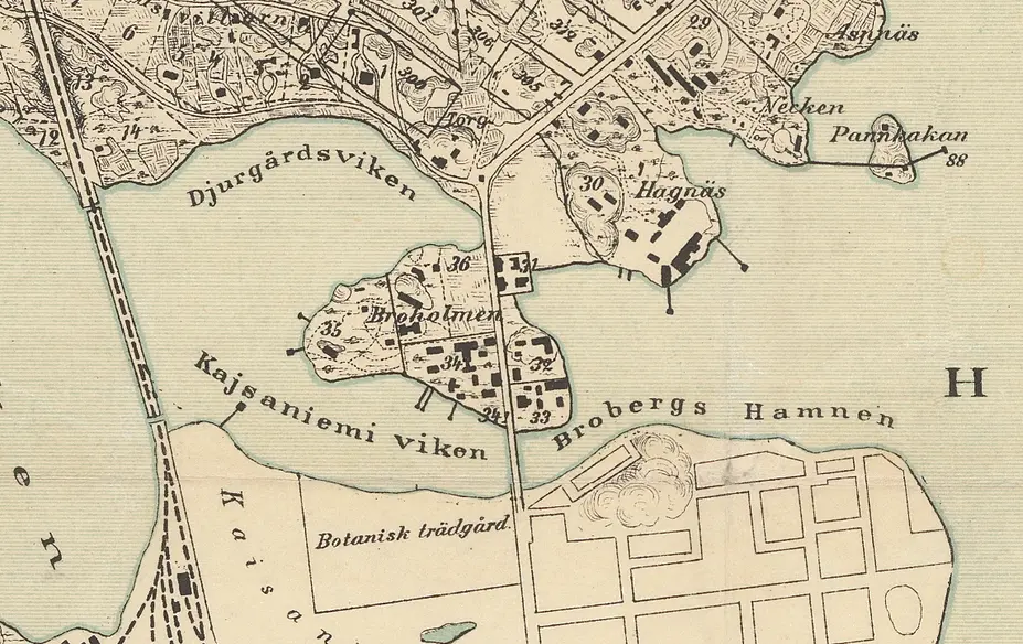 Karta över Hagnäs 1888