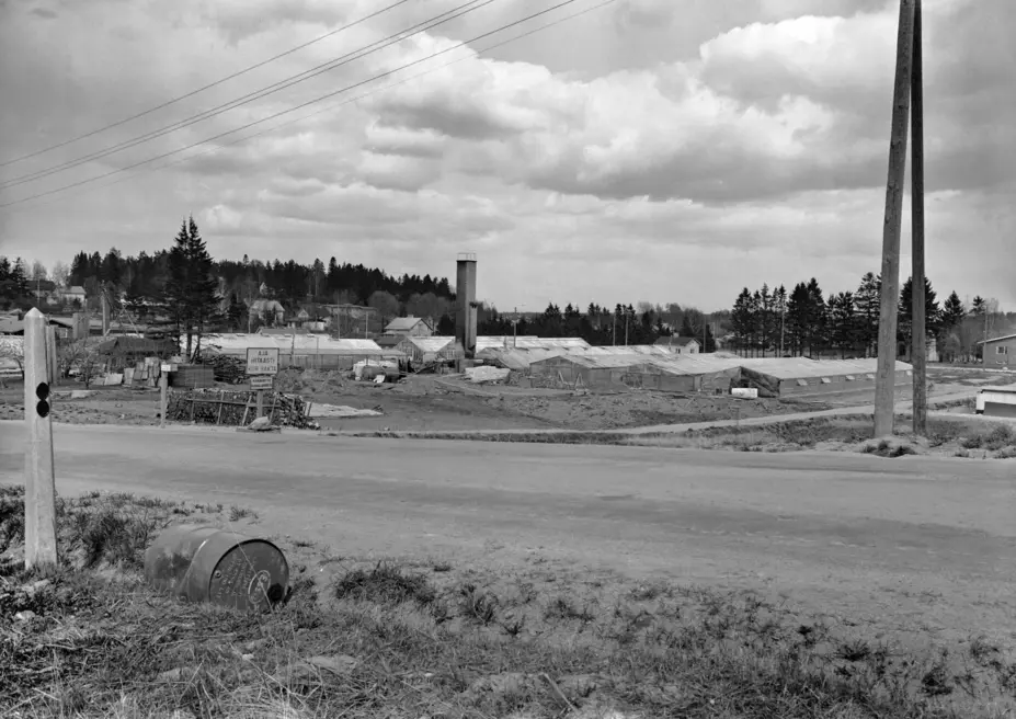 Växthus i Baggböle år 1959
