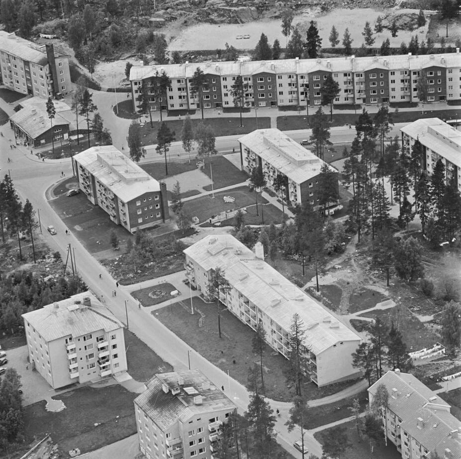 Roihuvuori, Tuhkimontie