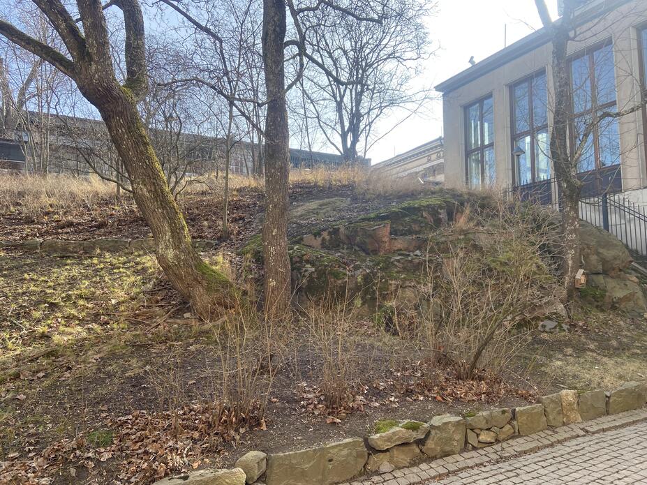 Vallinsarven jäänne