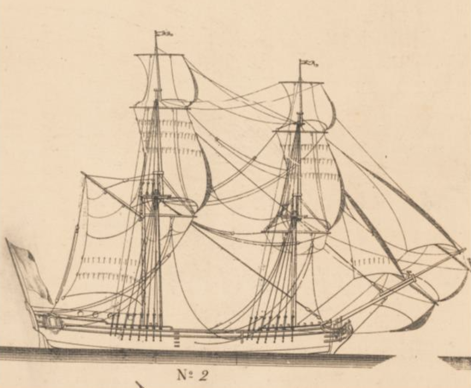 Piirros alustyypistä snau