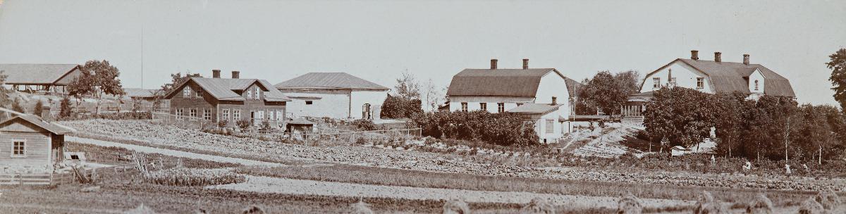 Tuomarinkylän kartanon rakennuksia noin vuonna 1900. Päärakennus on oikealla. Kuvaaja: Helsingin kaupunginmuseo