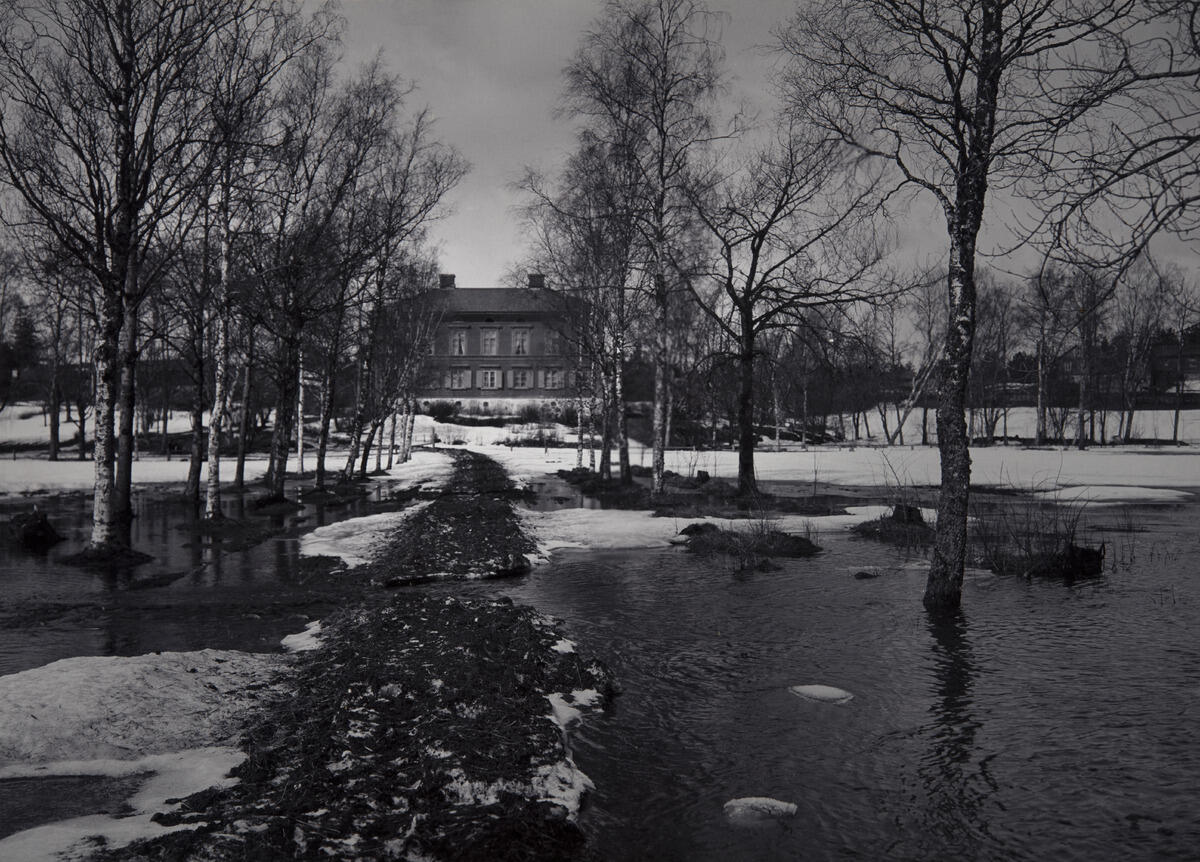 Hoplax gård på vårvintern när snön smälter. Den kallades också för Grejus Gård.