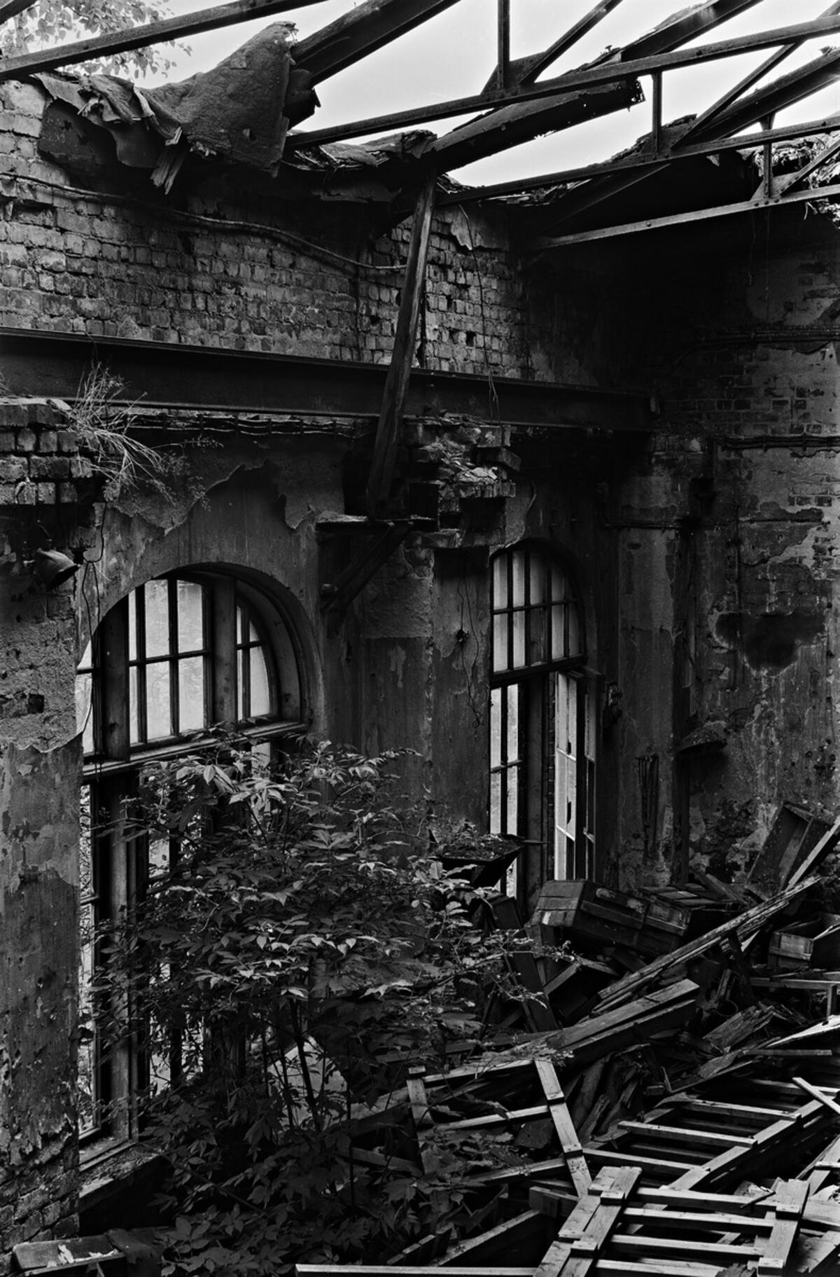 Insidan av en förfallen verkstad som är full med bråte. En buske växer ur golvet och taket saknas.