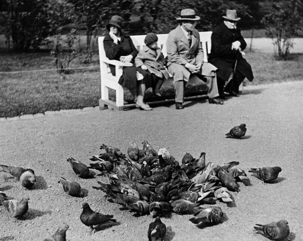 En kvinna, två män och ett barn sitter på en parkbänk. I flrgrunden syns en flock stadsduvor som äter.