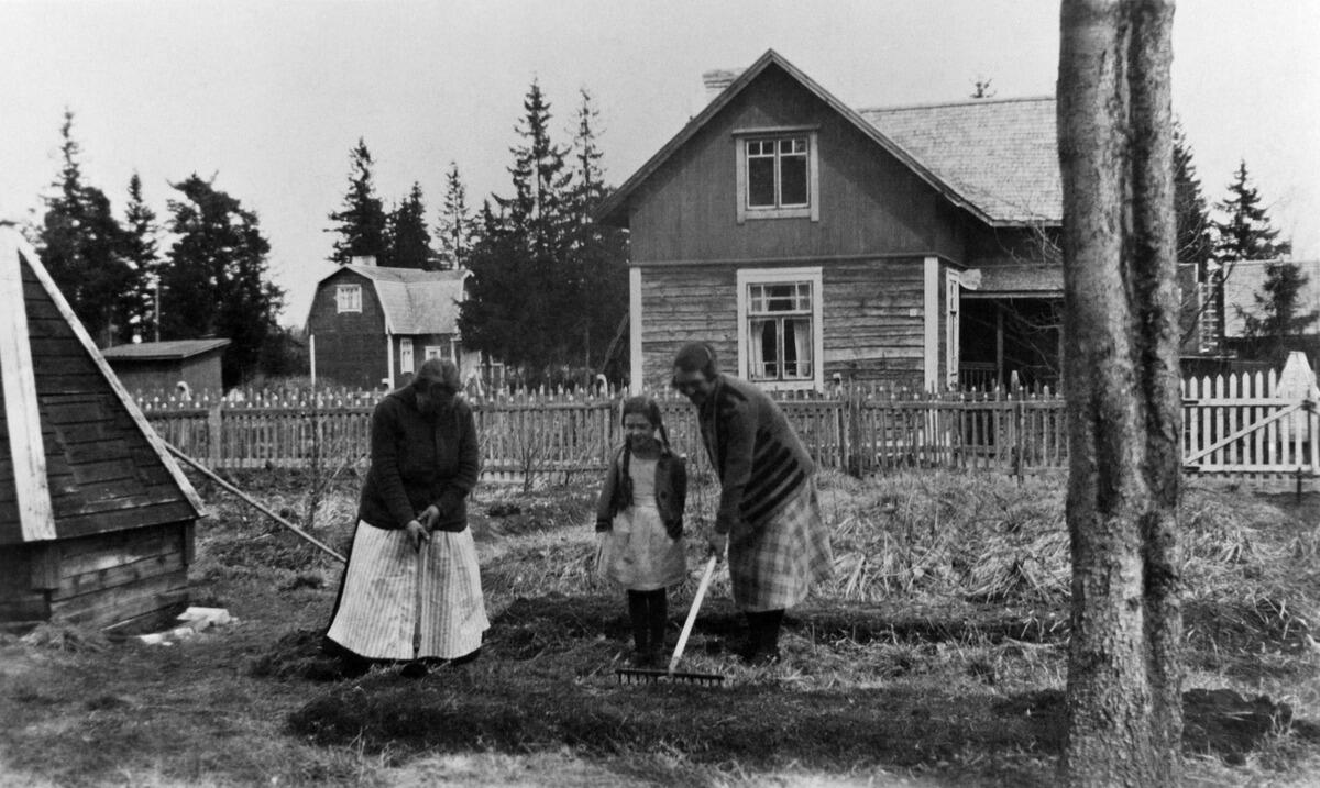 Tapanila, nykyisen Terveystien paikkeilla. Kasvimaata valmistamassa talon omistaja, torikauppias Fredrika Sofia Westerberg veljentyttärensä Lydia Alexandra Löflundin os. Westerberg ja veljen tyttärentyttären Mary Carita Löflundin avustamana.