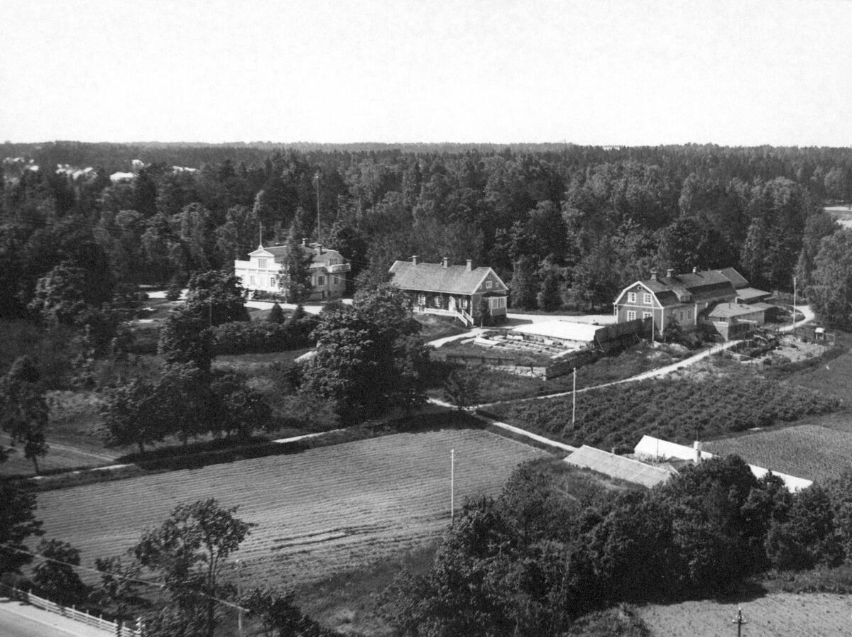 Etualalla näkyy peltoja, kasvihuoneita ja puutarhaa, keskellä näkyy kolme maatilan rakennusta ja taustalla metsää.