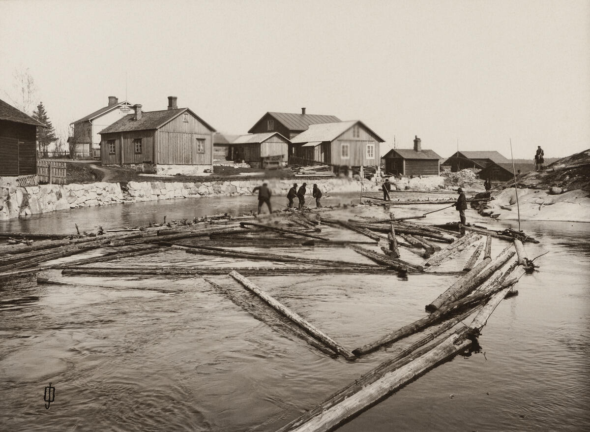 En grupp män balanserar ovanpå stockar som flyter i ån. Vid stranden står låga trähus.