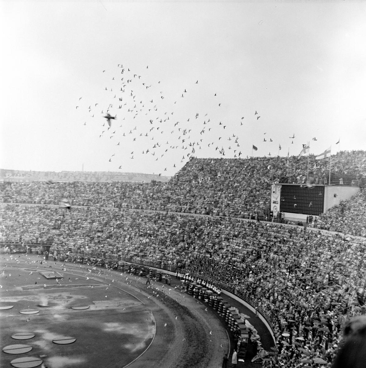 Näkymä Olympiastadionin päätykatsomoa kohti, josta nousee ilmaan parvi kyyhkyjä.