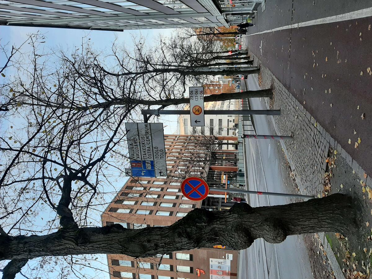 Trafikmärke vid korsningen mellan Aleksis Kivis gata och Sturegatan hösten 2022