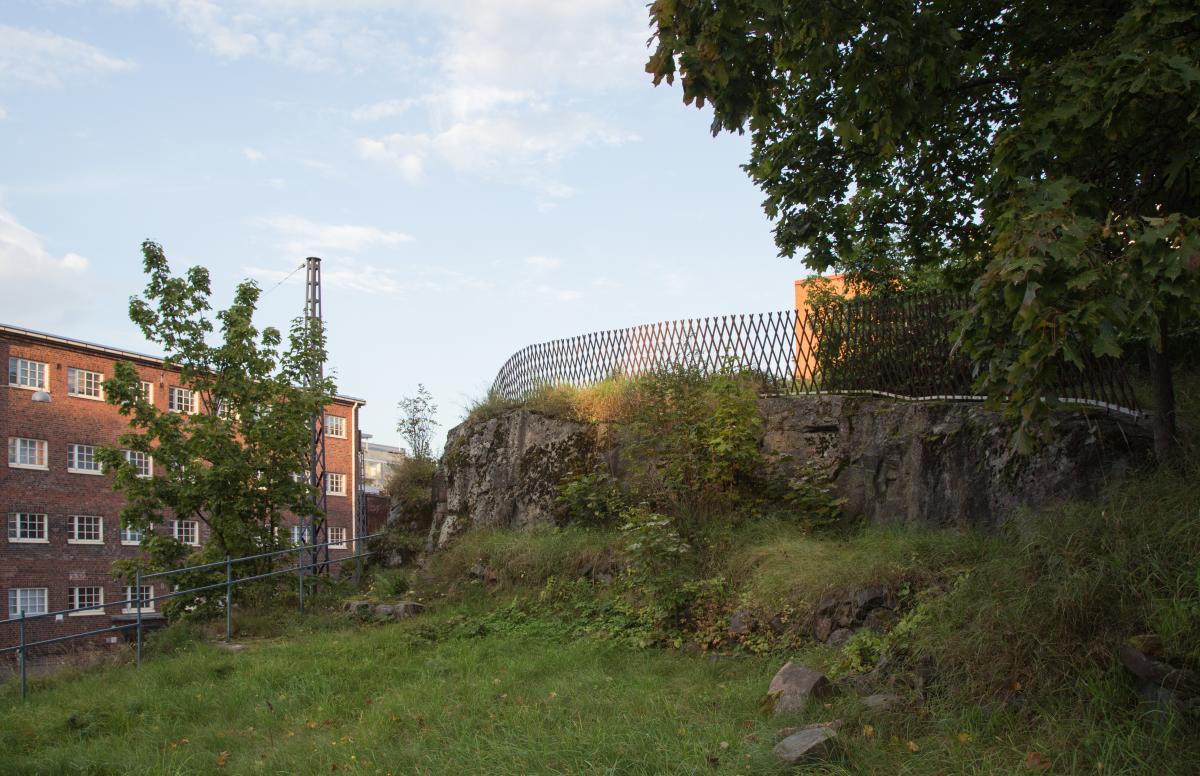 Puun varjostama pieni aidattu kallio Helsingin Vanhassakaupungissa.